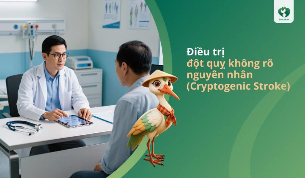 Điều trị đột quỵ không xác định (Cryptogenic Stroke)