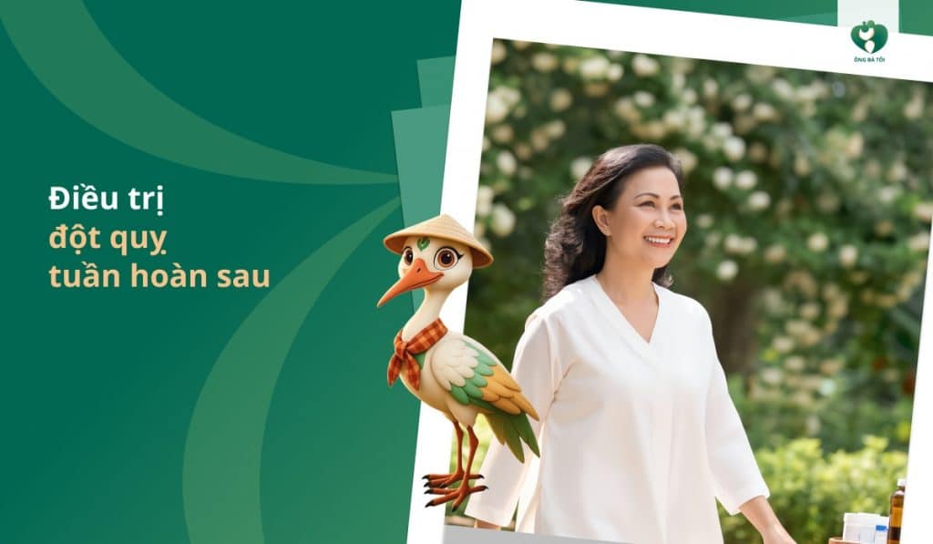 Điều trị đột quỵ tuần hoàn sau