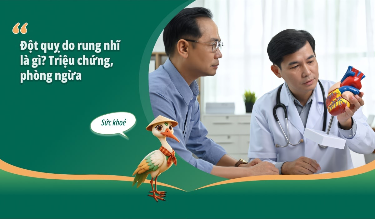 Đột quỵ do rung nhĩ