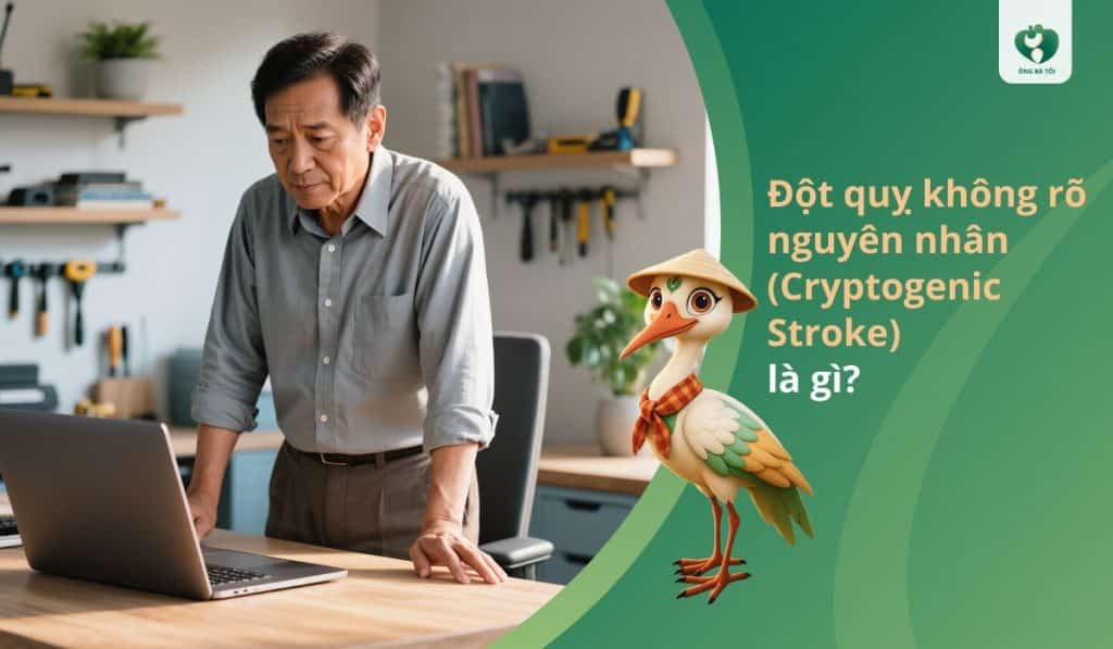 Đột quỵ không xác định (Cryptogenic Stroke) là gì