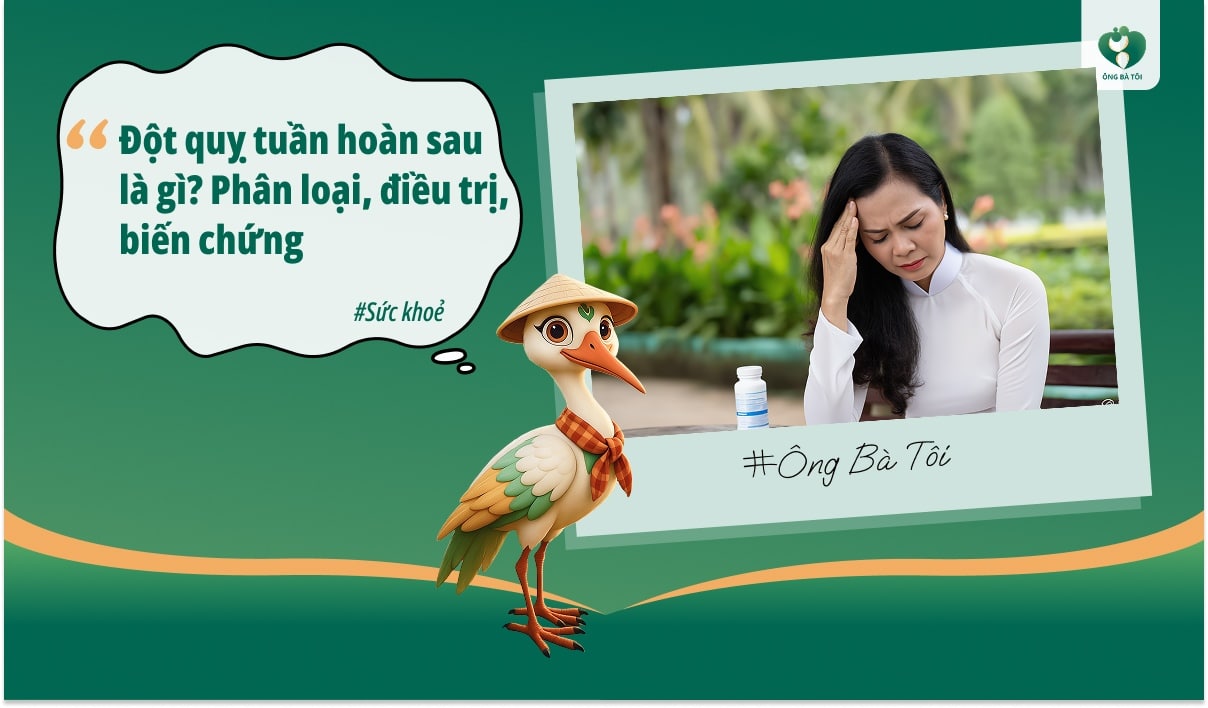 Đột quỵ tuần hoàn sau