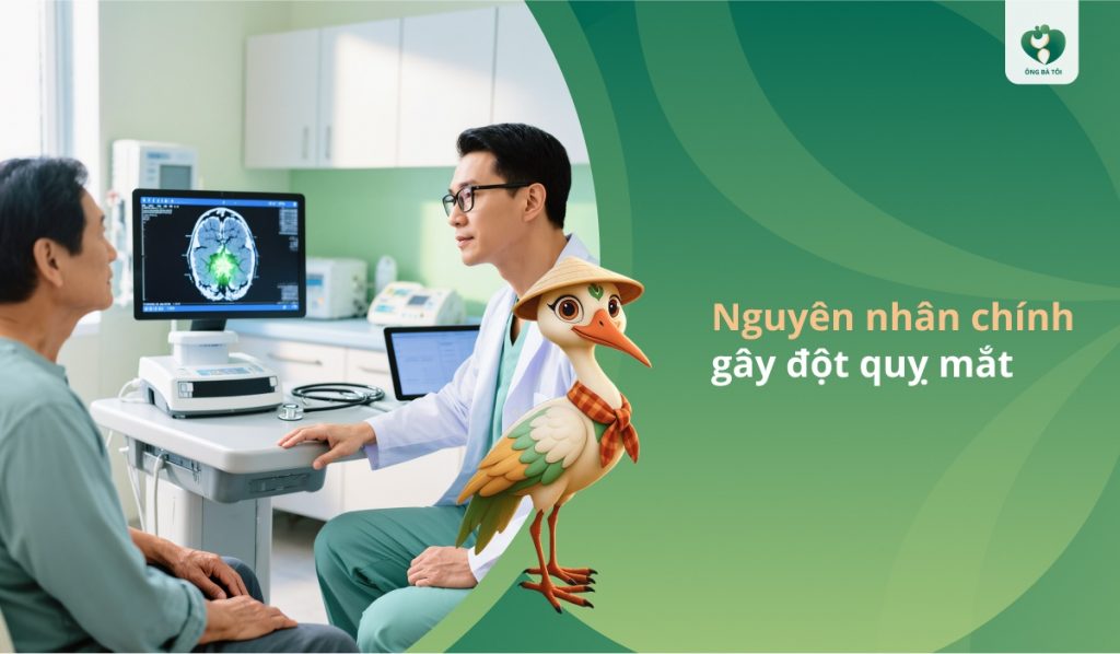 Nguyên nhân chính gây đột quỵ mắt