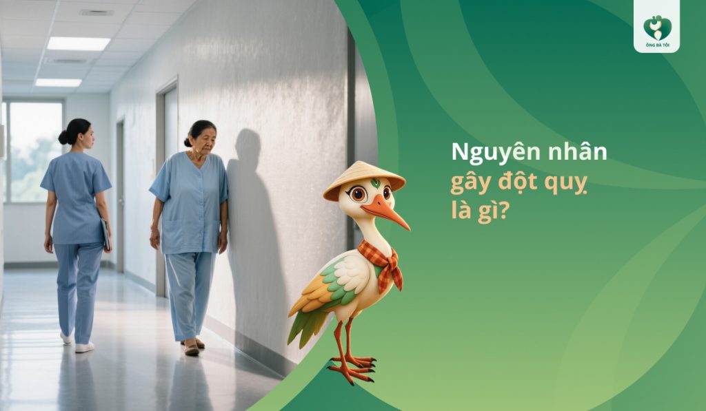 Nguyên nhân gây đột quỵ là gì?