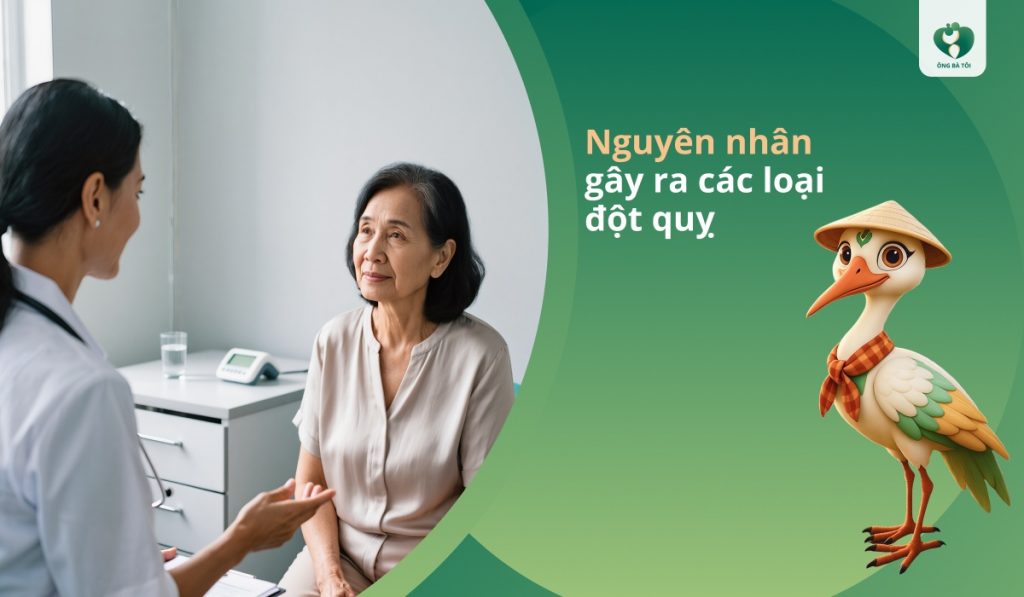 Nguyên nhân gây ra các loại đột quỵ