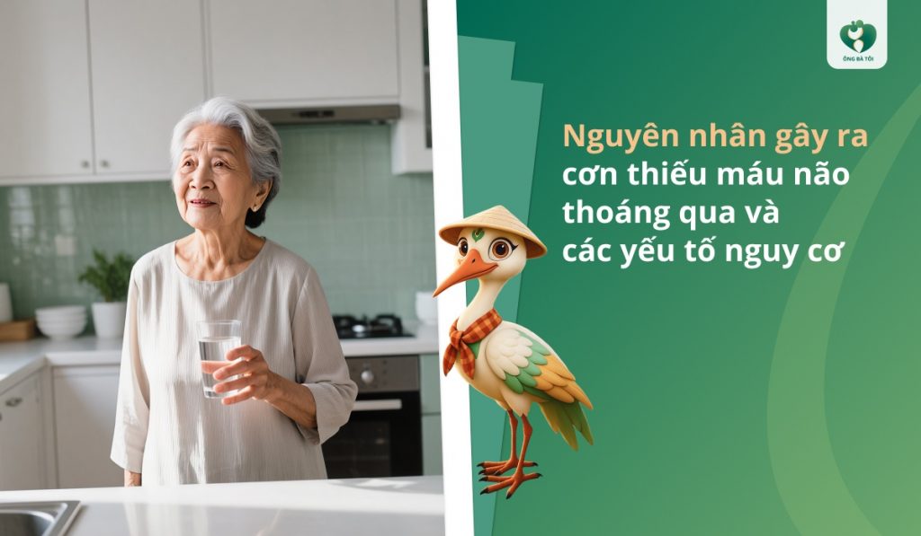 Nguyên nhân gây ra cơn thiếu máu não thoáng qua và các yếu tố nguy cơ