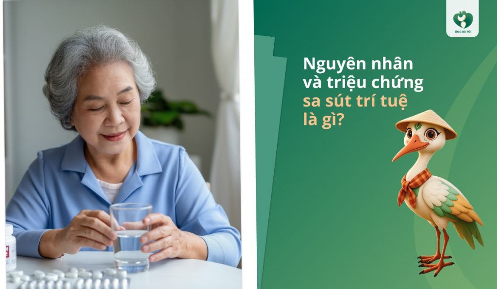 Nguyên nhân và triệu chứng sa sút trí tuệ là gì Nguyên nhân và triệu chứng sa sút trí tuệ là gì
