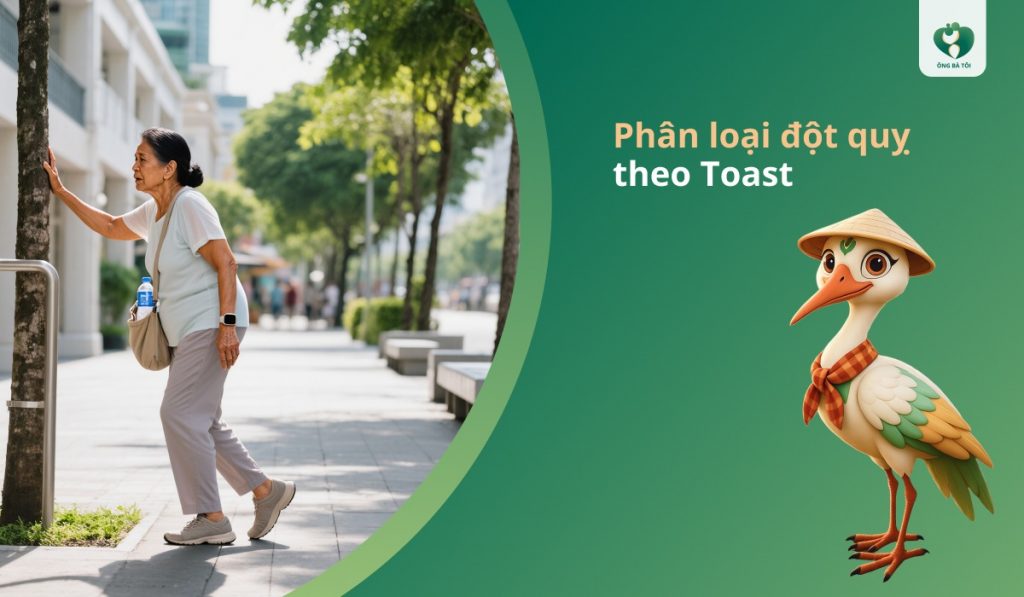 Phân loại đột quỵ theo Toast