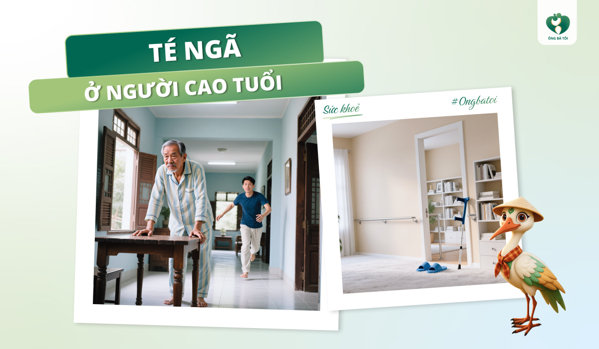 Té ngã ở người cao tuổi: Thực trạng, nguyên nhân, hậu quả