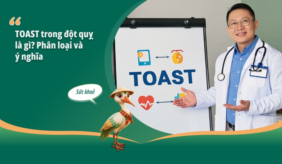 TOAST trong đột quỵ