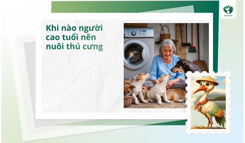 Khi nào người cao tuổi nên nuôi thú cưng