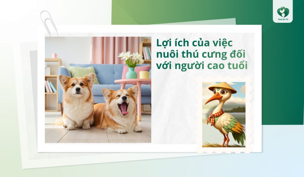 Lợi ích của việc nuôi thú cưng đối với người cao tuổi