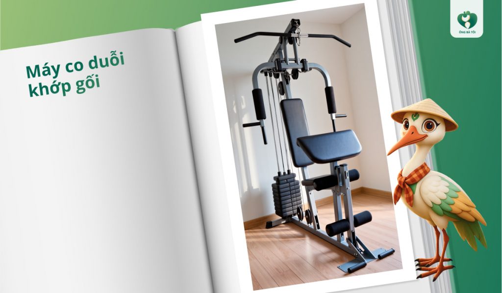 Máy co duỗi khớp gối