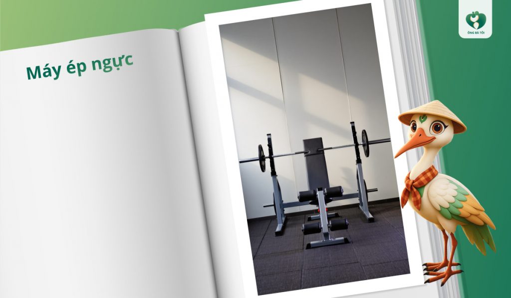 Máy ép ngực