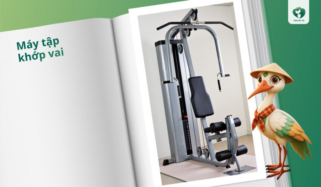 Máy tập khớp vai