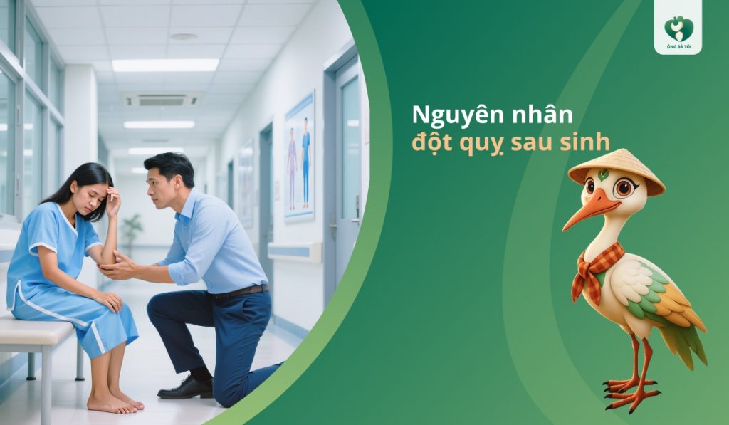 Nguyên nhân đột quỵ sau sinh
