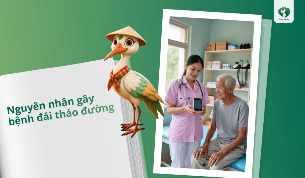 Nguyên nhân gây bệnh đái tháo đường