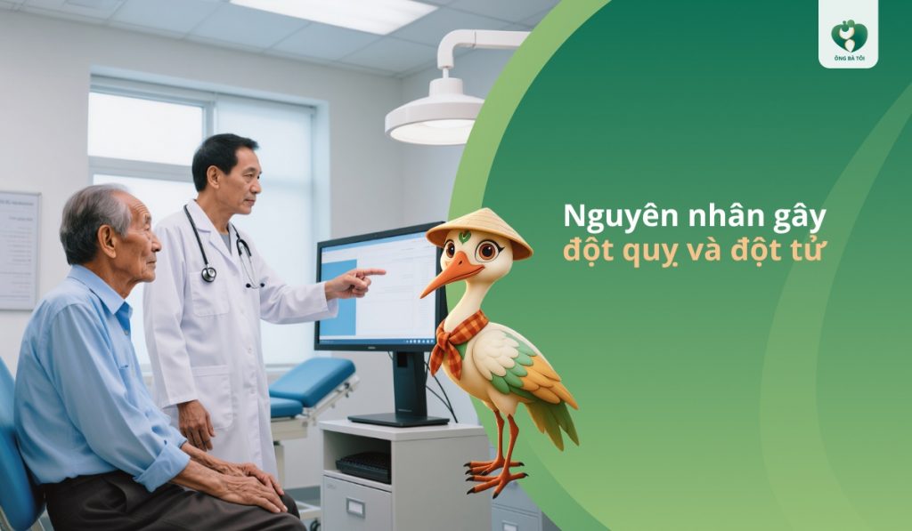 Nguyên nhân gây đột quỵ và đột tử