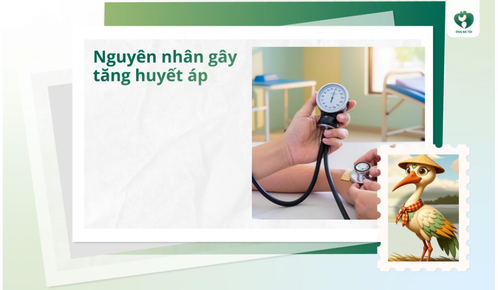 Nguyên nhân gây tăng huyết áp