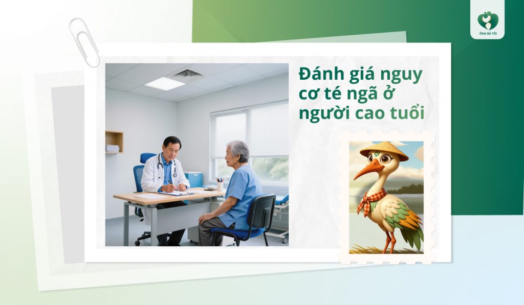 Nguyên tắc đánh giá nguy cơ té ngã ở người cao tuổi