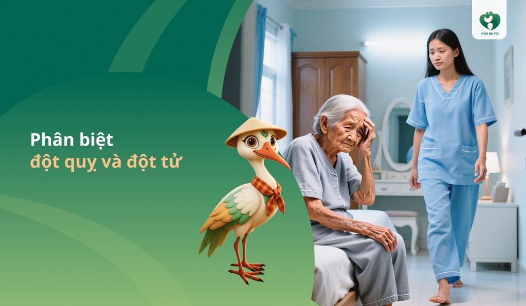 Phân biệt đột quỵ và đột tử