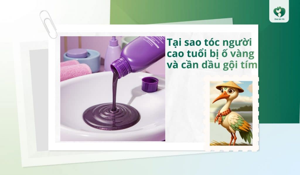 Tại sao tóc người cao tuổi bị ố vàng và cần dầu gội tím