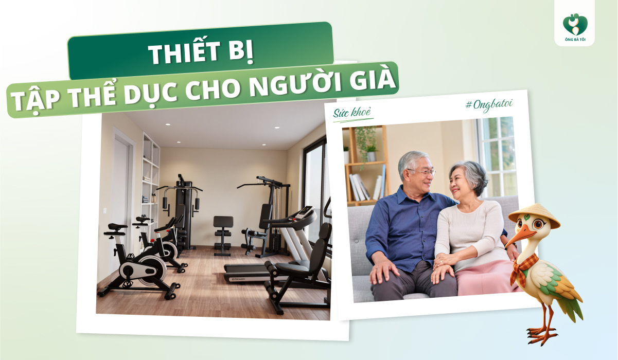 thiết bị tập thể dục cho người già tại nhà
