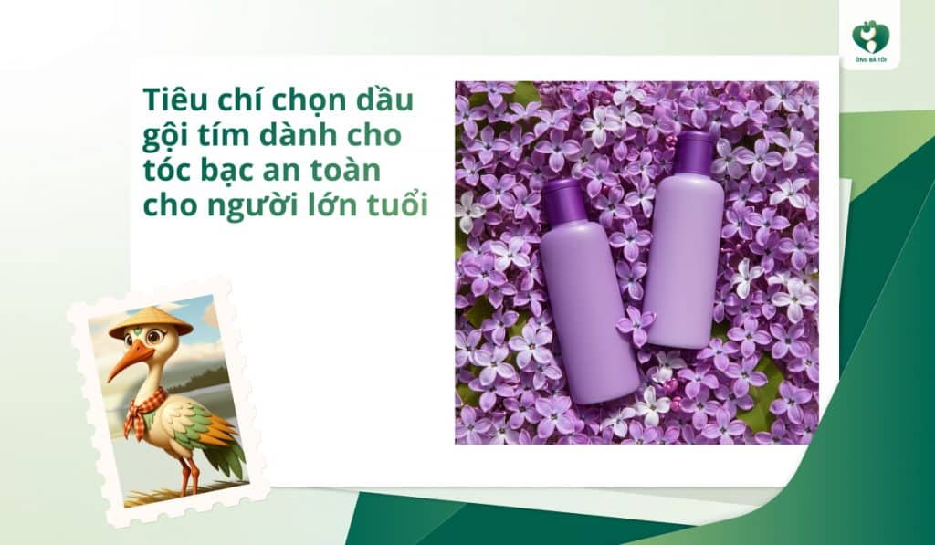 Tiêu chí chọn dầu gội tím dành cho tóc bạc an toàn cho người lớn tuổi