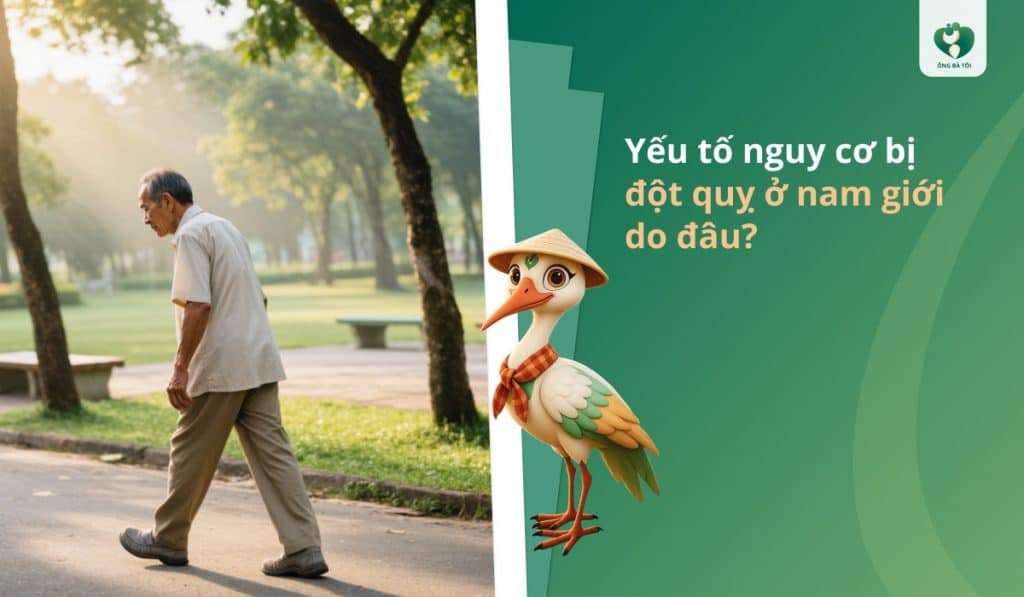 Yếu tố nguy cơ bị đột quỵ ở nam giới do đâu