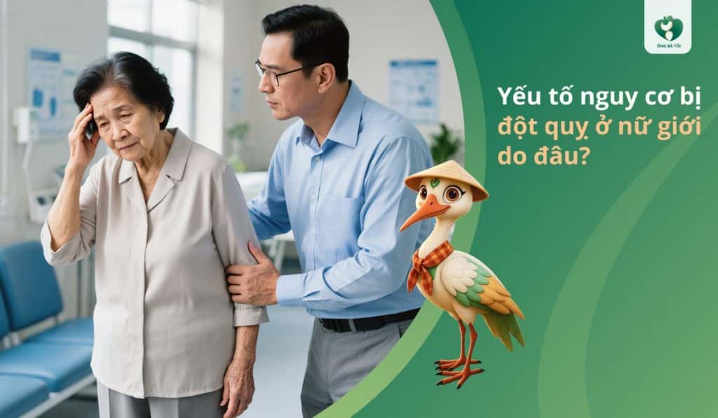 Yếu tố nguy cơ bị đột quỵ ở nữ giới do đâu